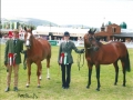 Blaenllain Doodleba and  son Bryneos Charlie Boy