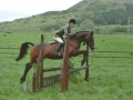 Blaenllain Doodleba (Bart) 4