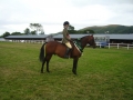 Blaenllain Doodleba (Bart) 7